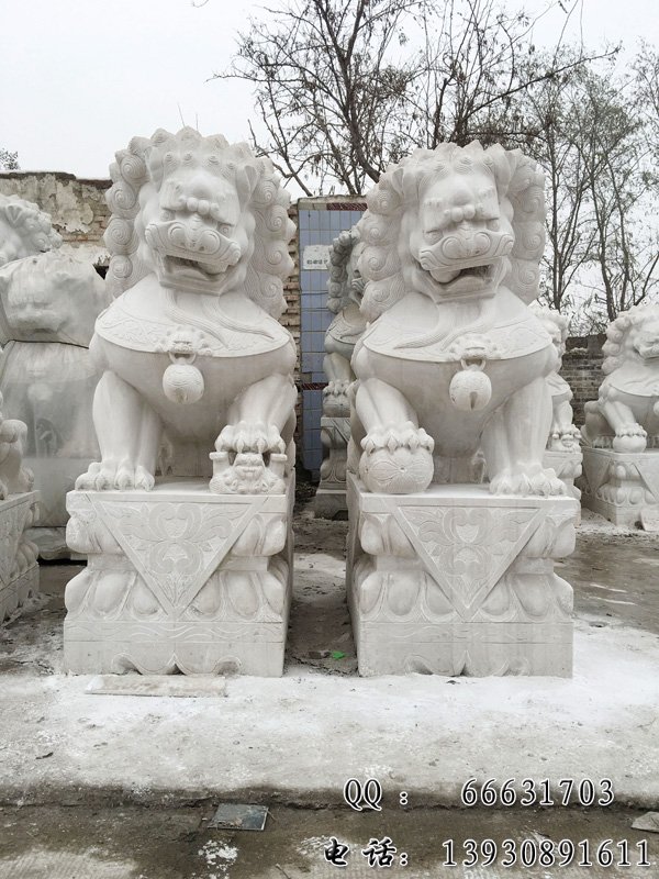 ����ʯʨ��ͼƬ